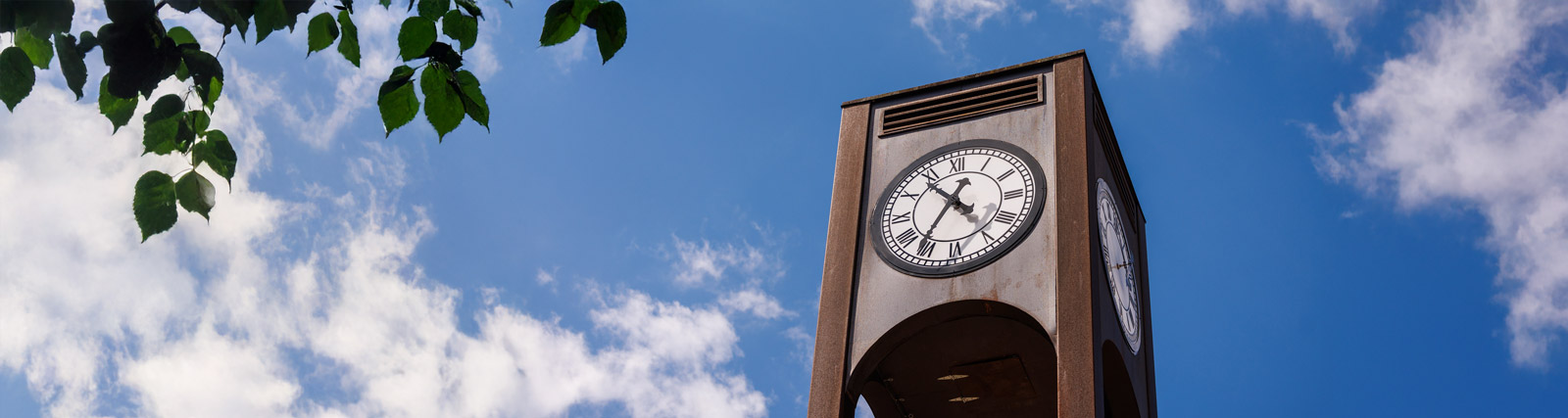 the clock tower as seen through summer leaves