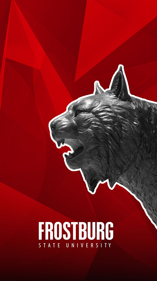 Red pattern with Bobcat