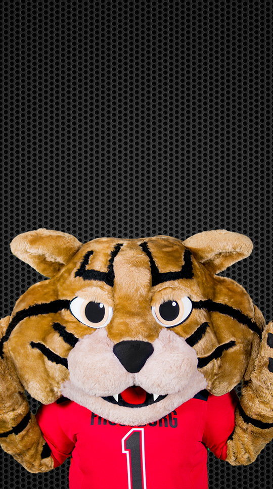 Background BobCat Gray 