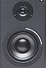 Monitor Speaker