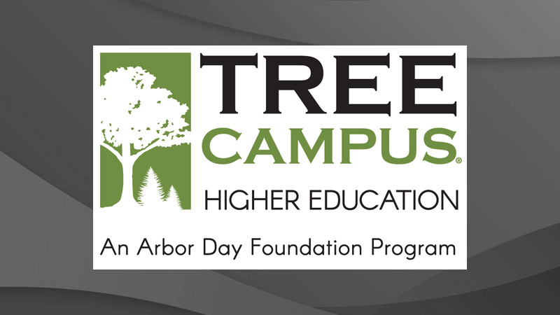Tree Campus USA
