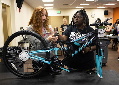 build-bicycles.jpg